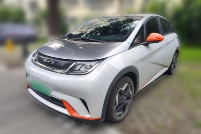 Used BYD Dolphin 2021 405 km Free Version