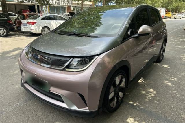 BYD Dolphin 2021 401km Knight Edition с пробегом