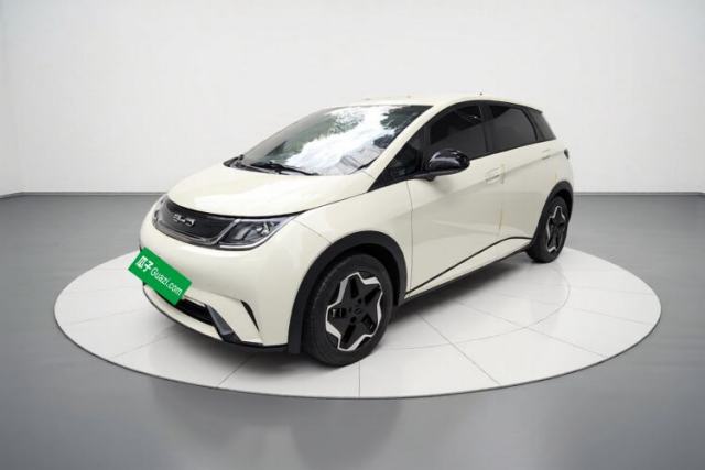 Used BYD Dolphin 2021 405 km Free Version