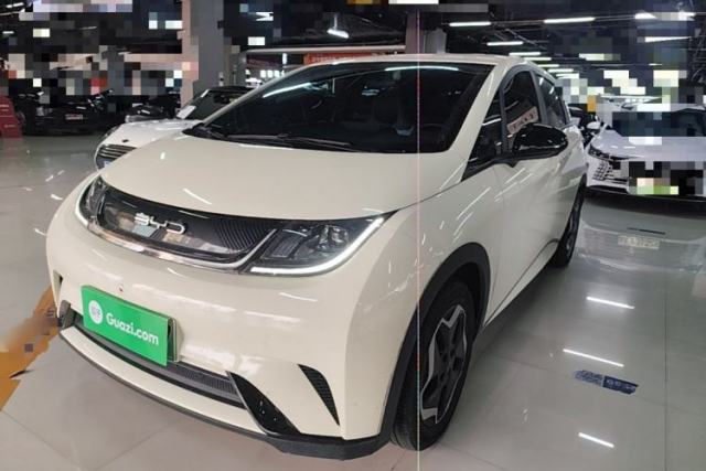 Used BYD Dolphin 2021 405 km Free Version