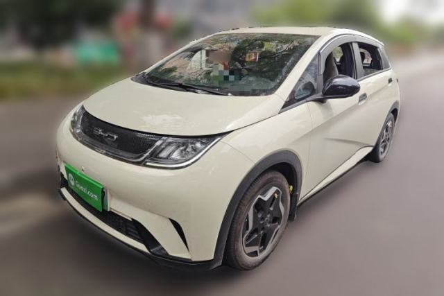 Used BYD Dolphin 2021 405 km Free Version