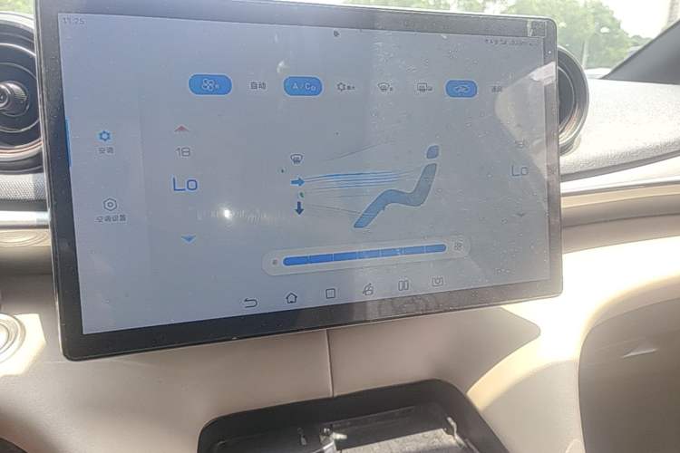 Used BYD Dolphin 2021 405 km Fashion Edition Audio And AC Panel