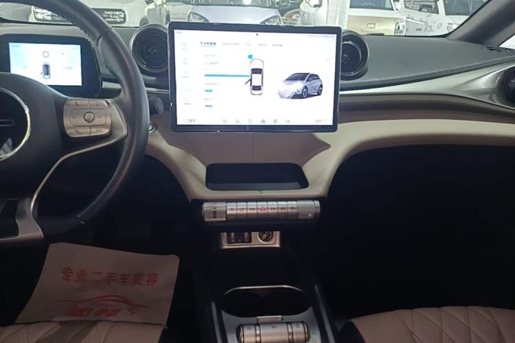 Used BYD Dolphin 2021 405 km Free Version Audio And AC Panel