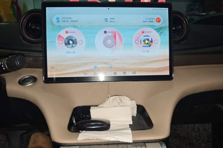 Used BYD Dolphin 2021 405 km Free Version Audio And AC Panel