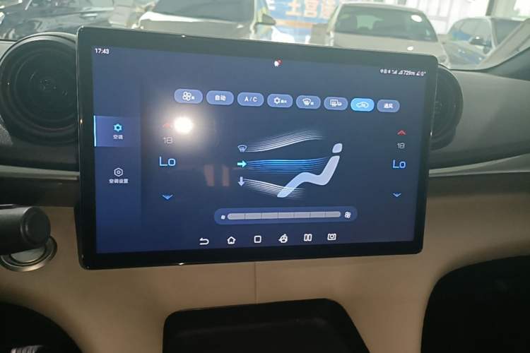 Used BYD Dolphin 2021 405 km Fashion Edition Audio And AC Panel