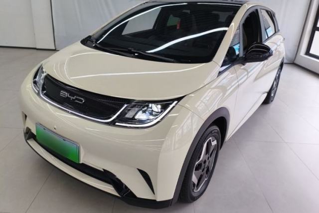 Ojetý BYD Dolphin 2021 405 km Free Version