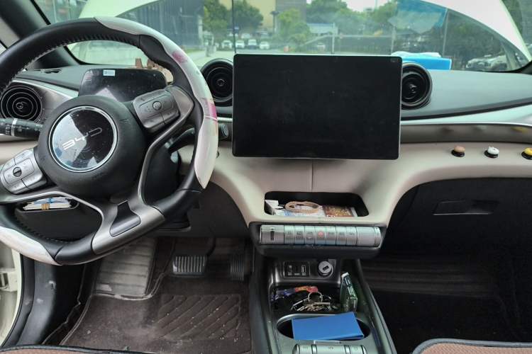 Used BYD Dolphin 2021 405 km Fashion Edition Center Console