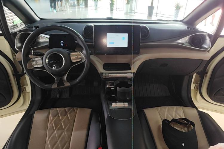 Used BYD Dolphin 2021 405 km Free Version Center Console