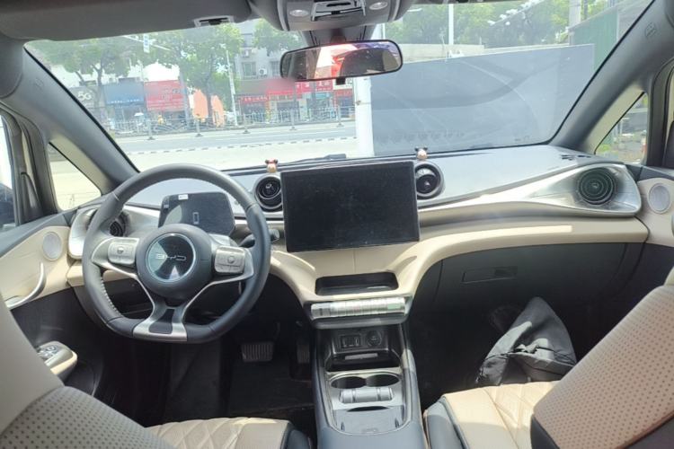 Used BYD Dolphin 2021 405 km Fashion Edition Center Console