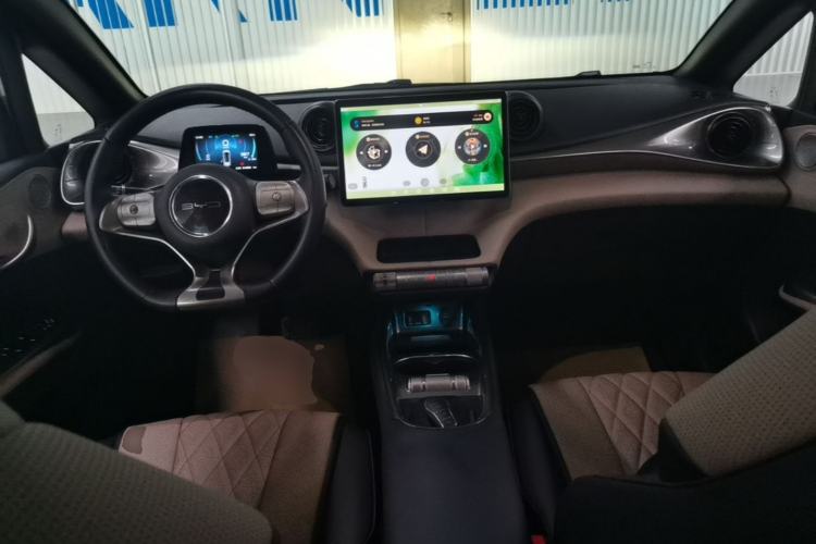 Used BYD Dolphin 2021 405 km Fashion Edition Center Console