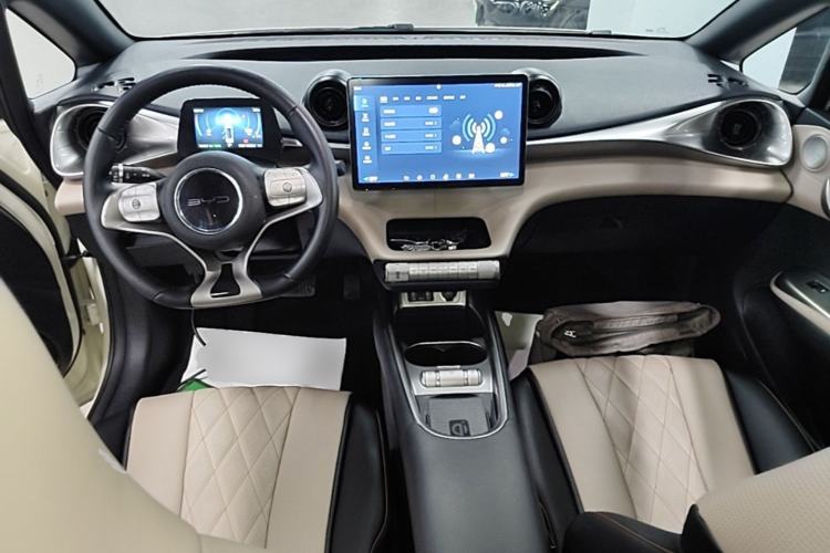 Used BYD Dolphin 2021 405 km Fashion Edition Center Console