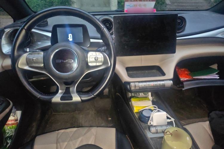Used BYD Dolphin 2021 405 km Fashion Edition Center Console
