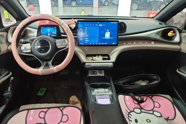 Used BYD Dolphin 2021 405 km Fashion Edition Center Console