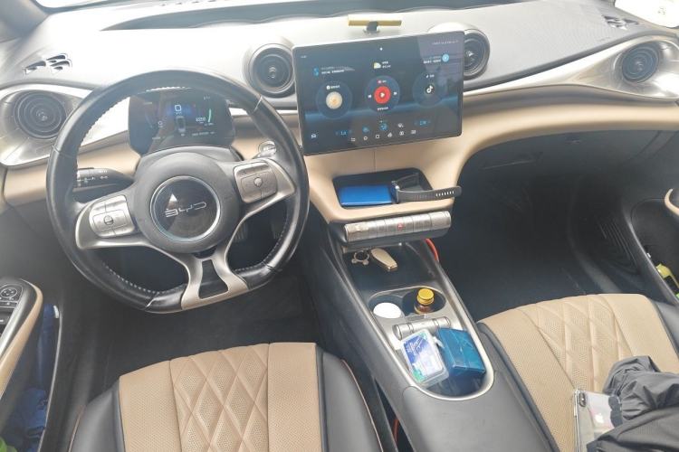 Used BYD Dolphin 2021 405 km Fashion Edition Center Console