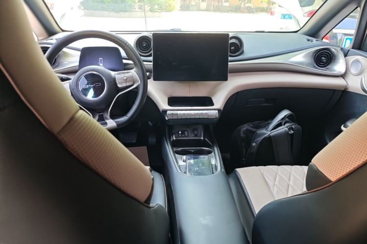 Used BYD Dolphin 2021 405 km Fashion Edition Center Console