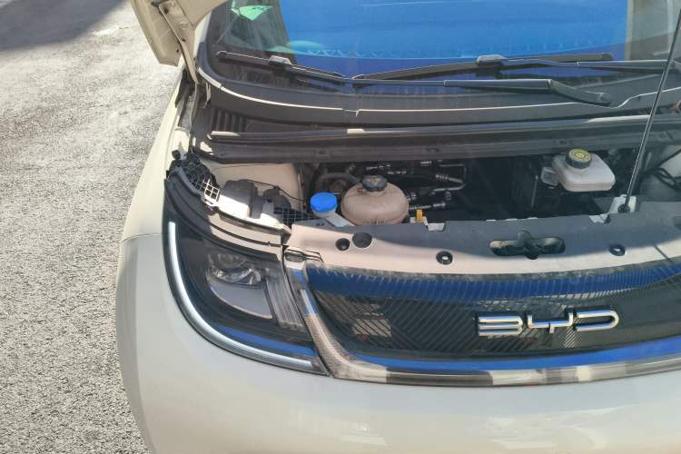 Used BYD Dolphin 2021 405 km Fashion Edition Engine Bay Right