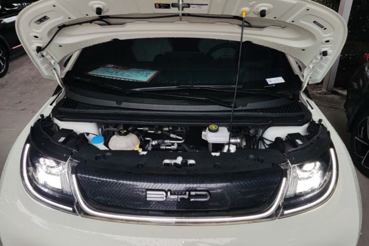 Used BYD Dolphin 2021 405 km Free Version Engine Bay