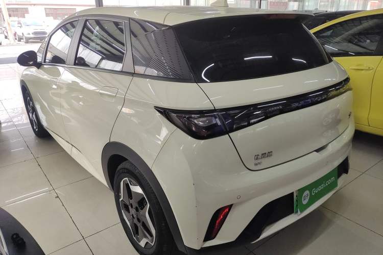 Used BYD Dolphin 2021 405 km Fashion Edition Exterior 2