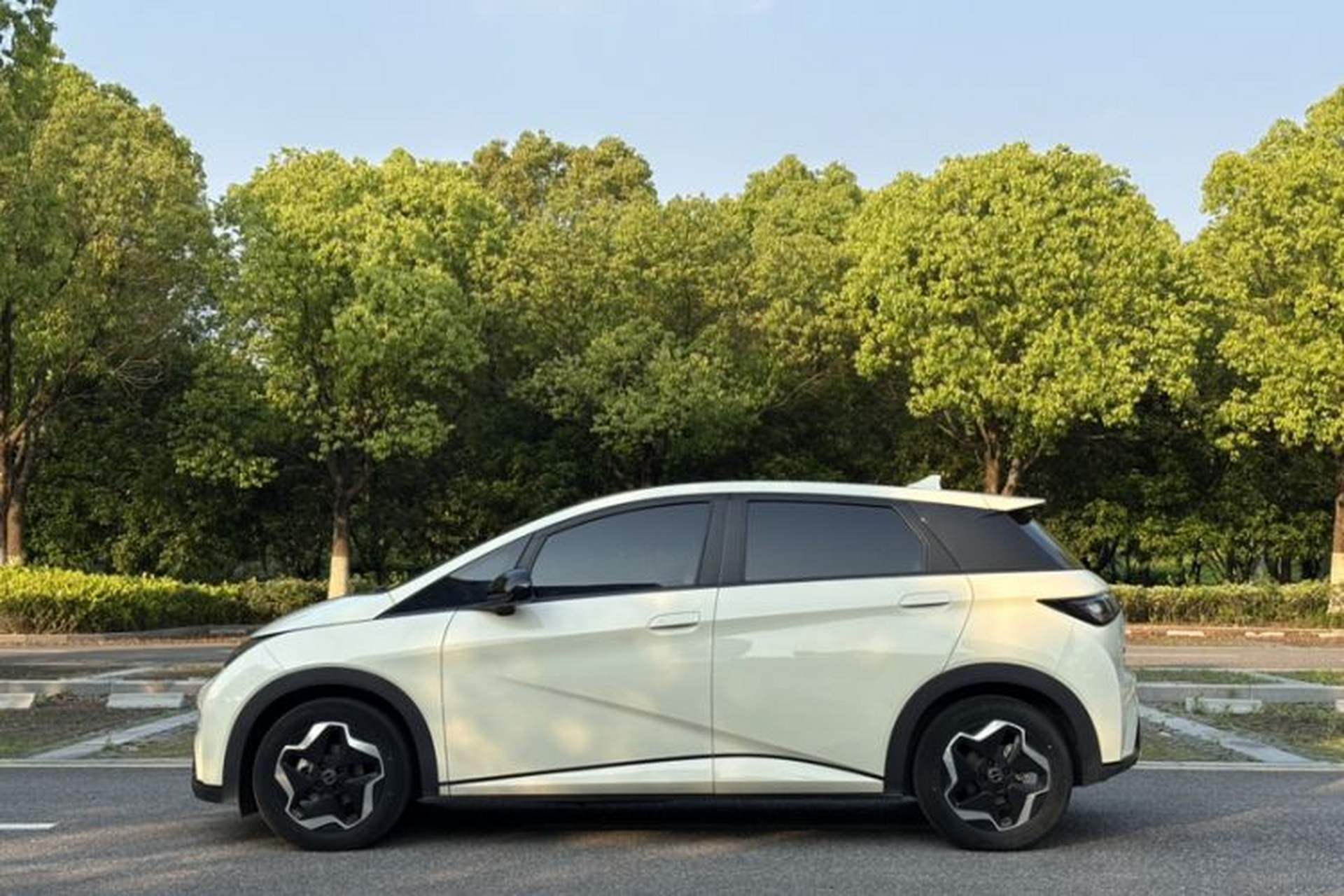 Used BYD Dolphin 2021 405 km Fashion Edition Exterior 4