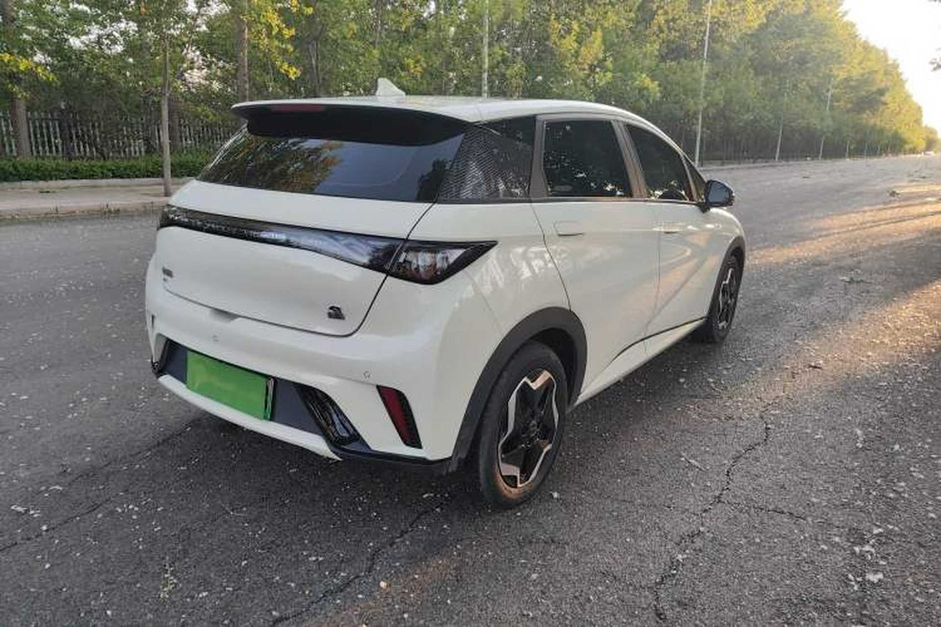 Used BYD Dolphin 2021 405 km Fashion Edition Exterior 4