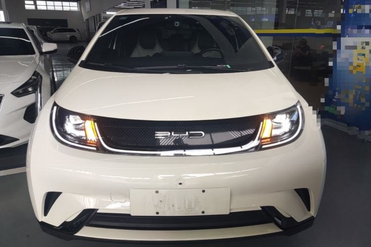 Used BYD Dolphin 2021 405 km Free Version Front