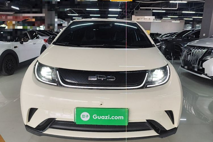 Used BYD Dolphin 2021 405 km Free Version Front