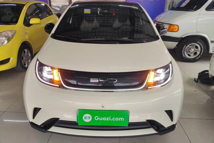 Used BYD Dolphin 2021 405 km Fashion Edition Front
