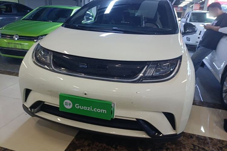 Used BYD Dolphin 2021 401km Knight Edition Front