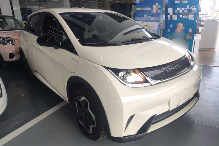 Used BYD Dolphin 2021 405 km Free Version Front Right 45 Deg