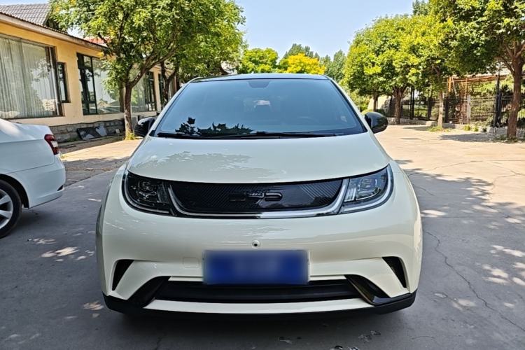Used BYD Dolphin 2021 405 km Fashion Edition Front