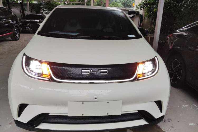 Used BYD Dolphin 2021 405 km Free Version Front