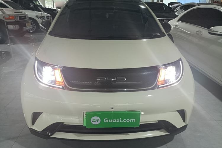 Used BYD Dolphin 2021 405 km Fashion Edition Front