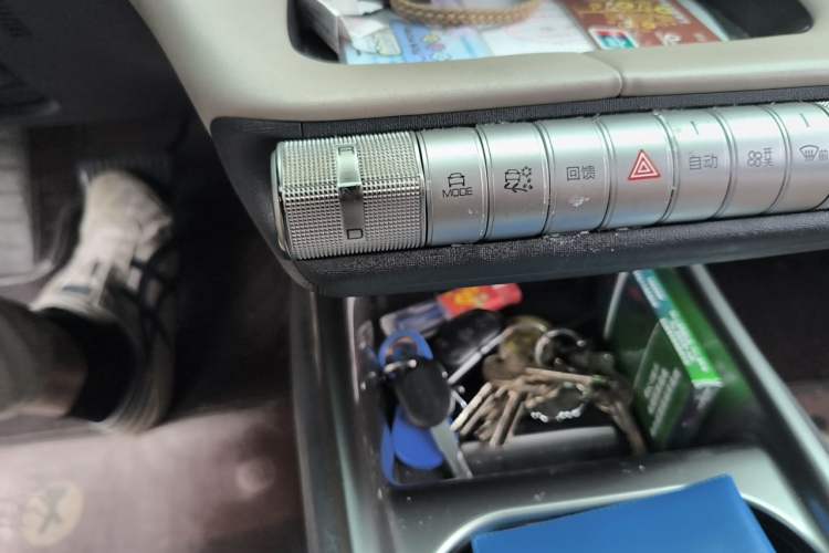 Used BYD Dolphin 2021 405 km Fashion Edition Gear Lever