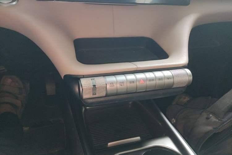 Used BYD Dolphin 2021 405 km Free Version Gear Lever