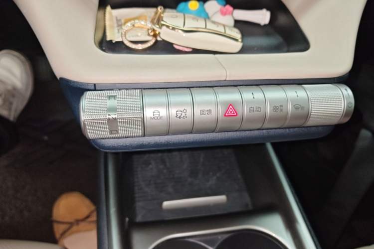 Used BYD Dolphin 2021 405 km Fashion Edition Gear Lever