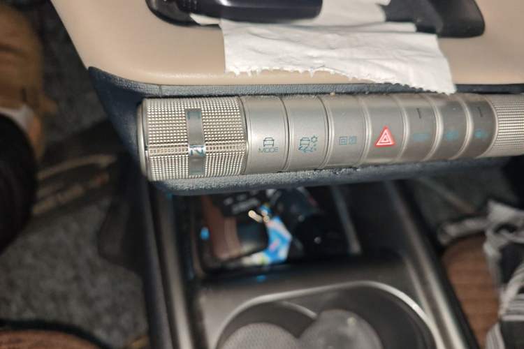 Used BYD Dolphin 2021 405 km Free Version Gear Lever