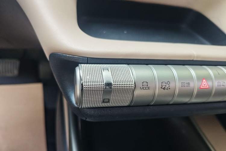 Used BYD Dolphin 2021 405 km Fashion Edition Gear Lever