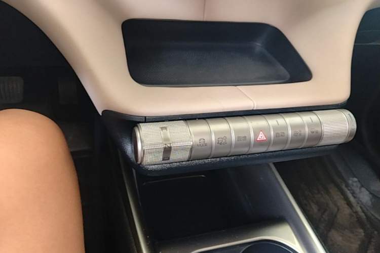 Used BYD Dolphin 2021 405 km Fashion Edition Gear Lever
