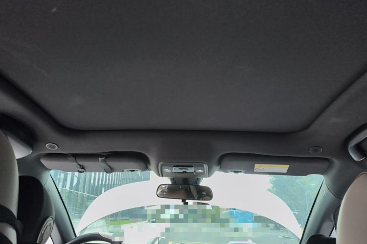 Used BYD Dolphin 2021 405 km Fashion Edition Headliner