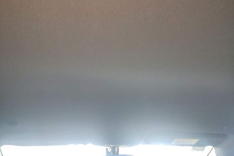 Used BYD Dolphin 2021 405 km Free Version Headliner