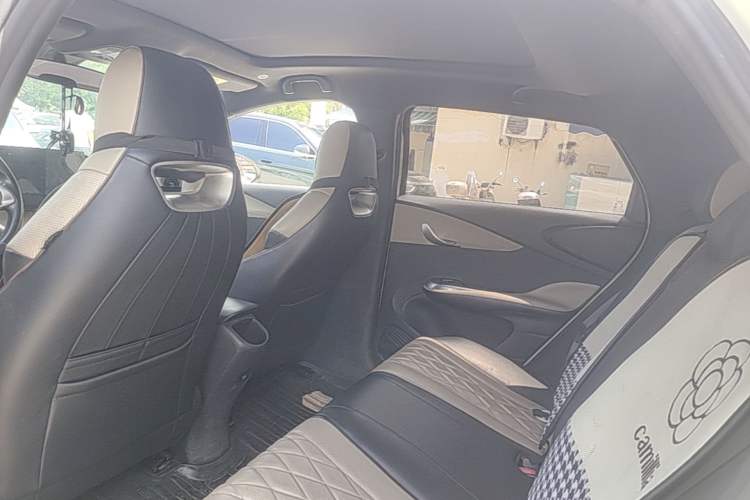 Used BYD Dolphin 2021 405 km Fashion Edition Headliner