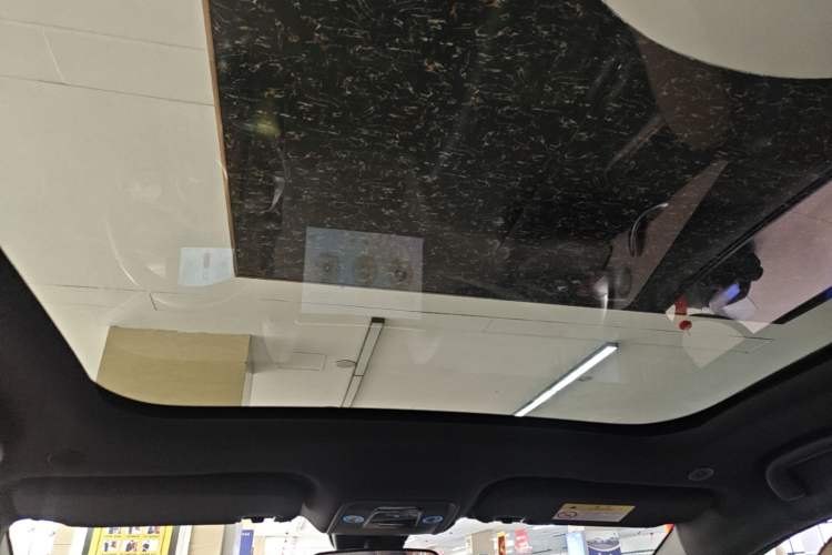 Used BYD Dolphin 2021 405 km Fashion Edition Headliner