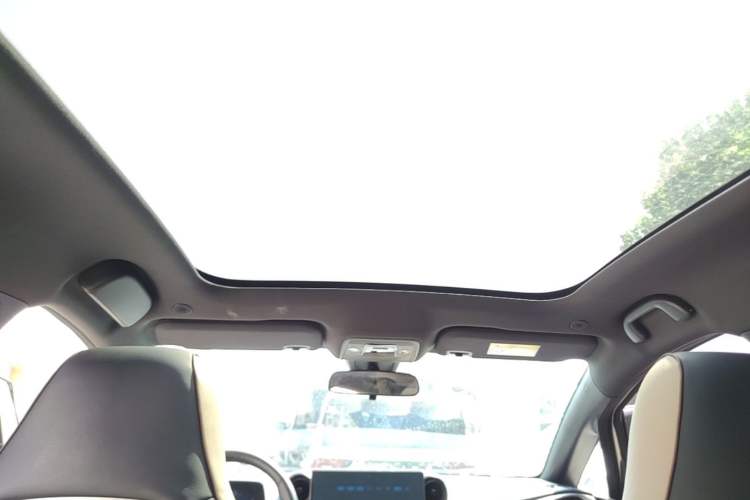 Used BYD Dolphin 2021 405 km Fashion Edition Headliner