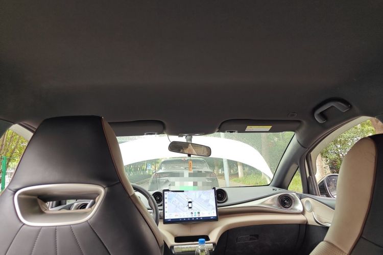 Used BYD Dolphin 2021 405 km Free Version Headliner