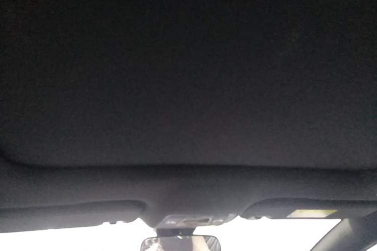 Used BYD Dolphin 2021 405 km Fashion Edition Headliner