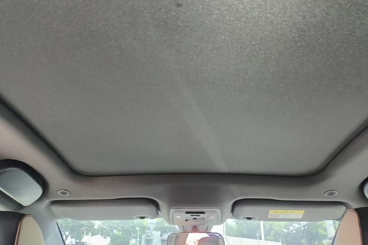 Used BYD Dolphin 2021 405 km Fashion Edition Headliner