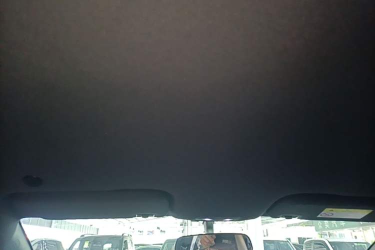 Used BYD Dolphin 2021 405 km Free Version Headliner
