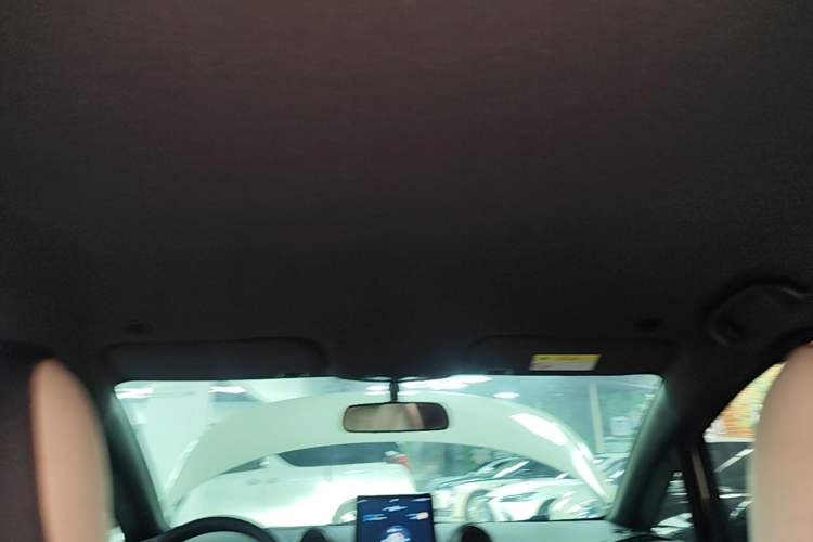 Used BYD Dolphin 2021 405 km Free Version Headliner