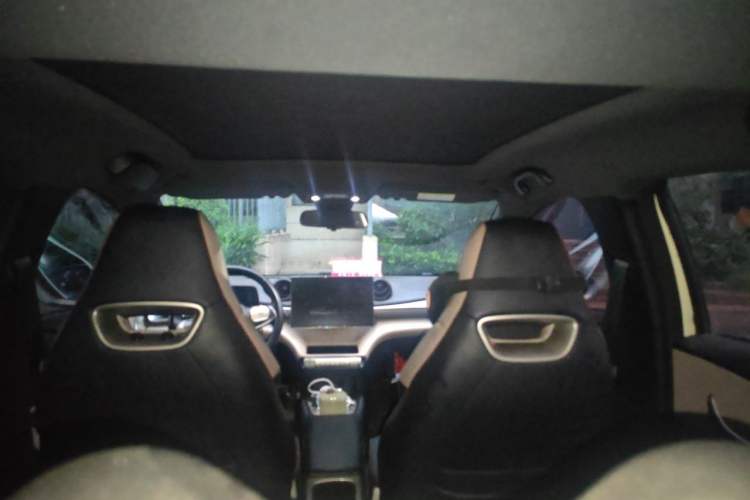 Used BYD Dolphin 2021 405 km Fashion Edition Headliner