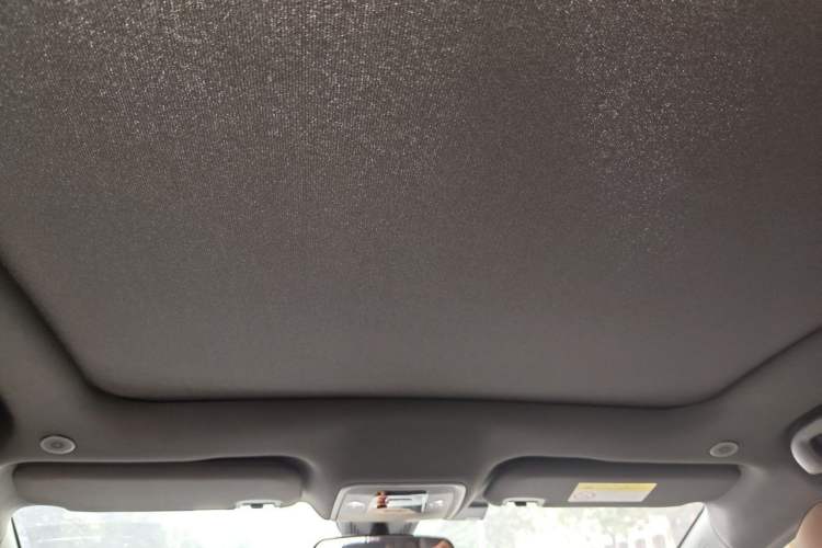 Used BYD Dolphin 2021 405 km Fashion Edition Headliner